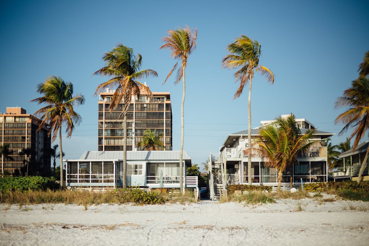 Sunny beachfront view with palm trees and modern houses, perfect for a tropical getaway.